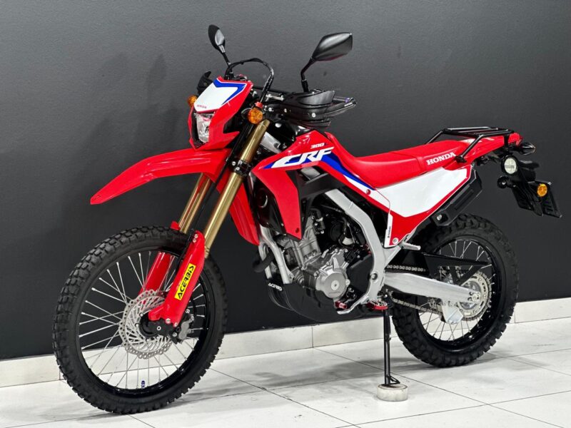 2024 Honda CRF 300L Rally