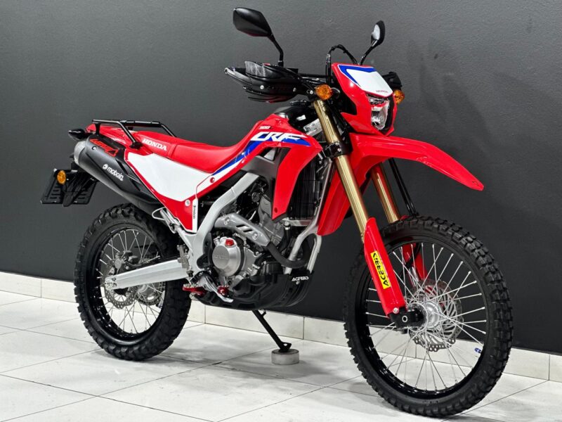 2024 Honda CRF 300L Rally